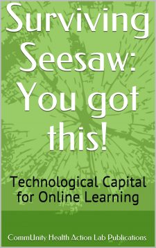 Surviving Seesaw – You got this! book cover