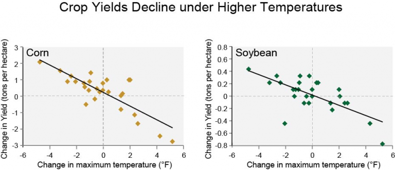 Tier 2, Part B: Adapting Agriculture – Iowa 8th Grade Science Bundles