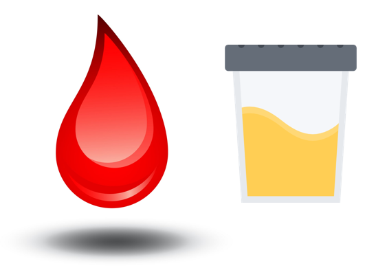 A blood drop and urinalysis specimen.