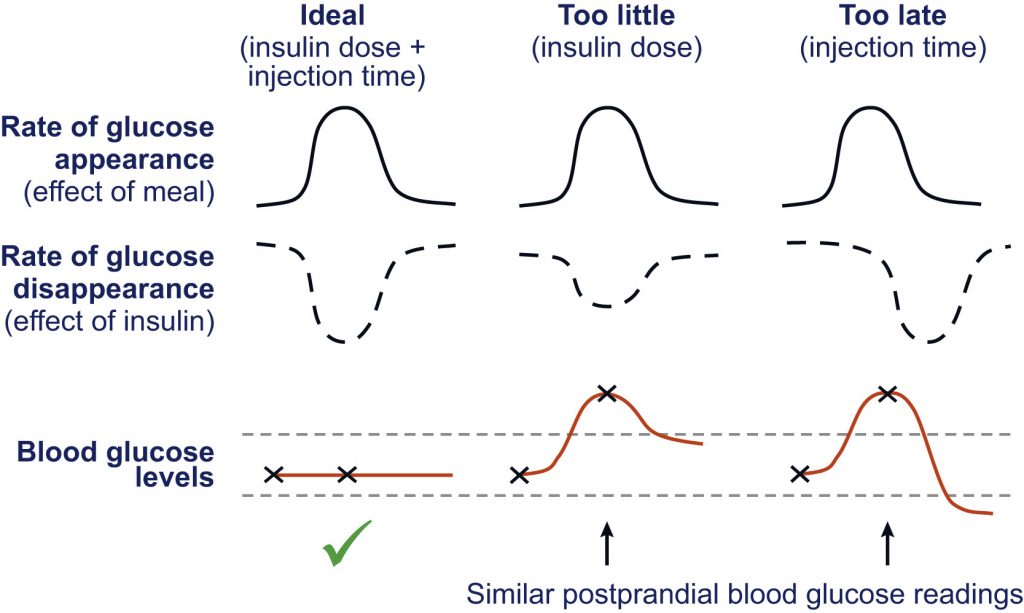 Rapid-acting Insulins – General Inpatient Management Of Pediatric 