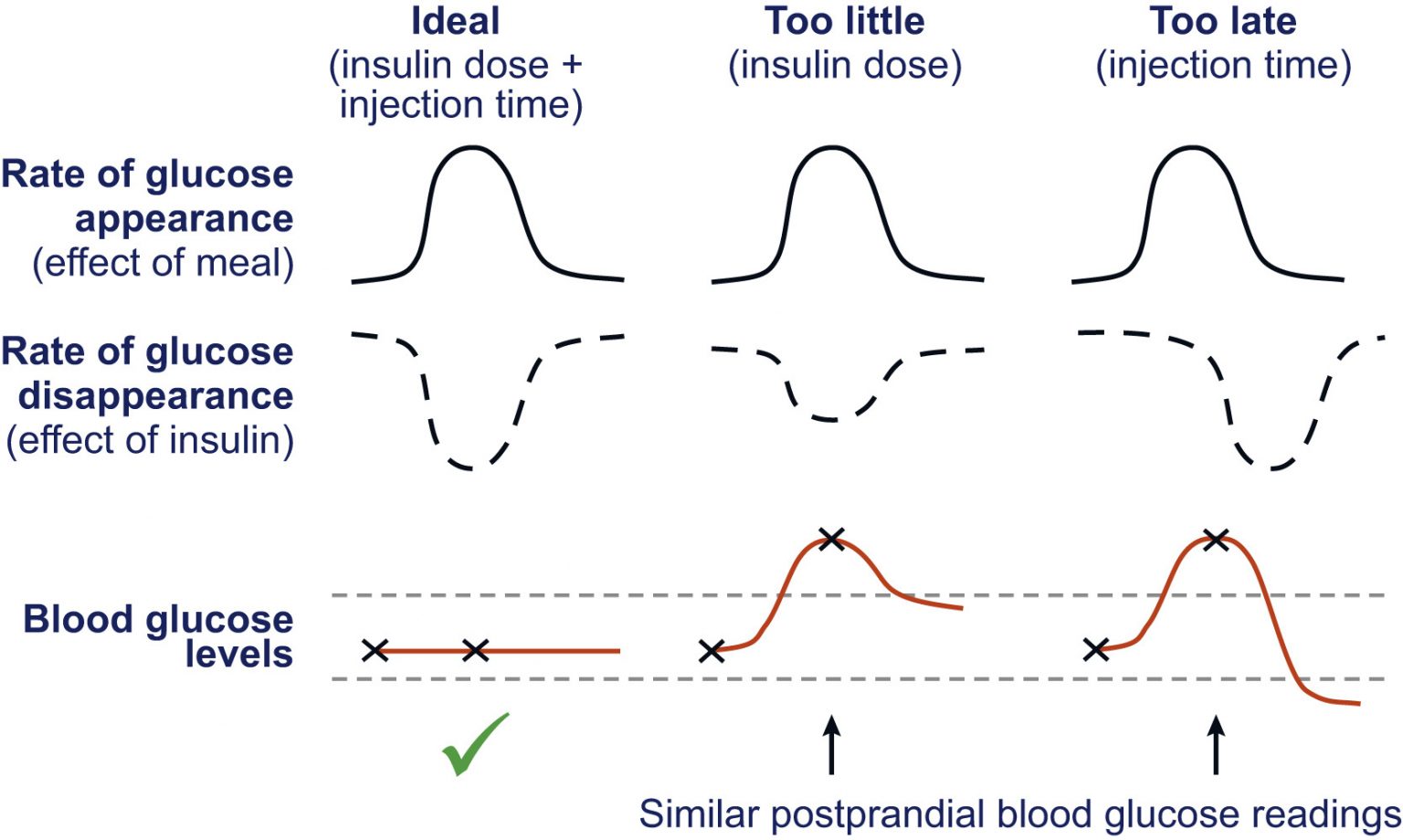 Rapid-Acting Insulins – General Inpatient Management of Pediatric ...