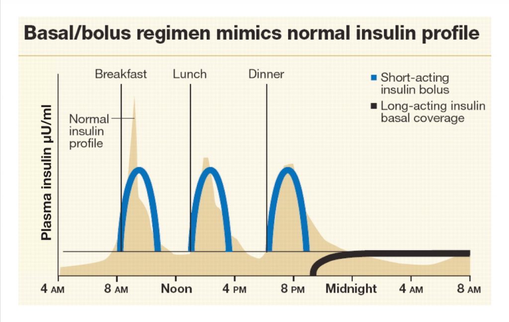 The Basal/Bolus Insulin Regimen – General Inpatient Management of ...