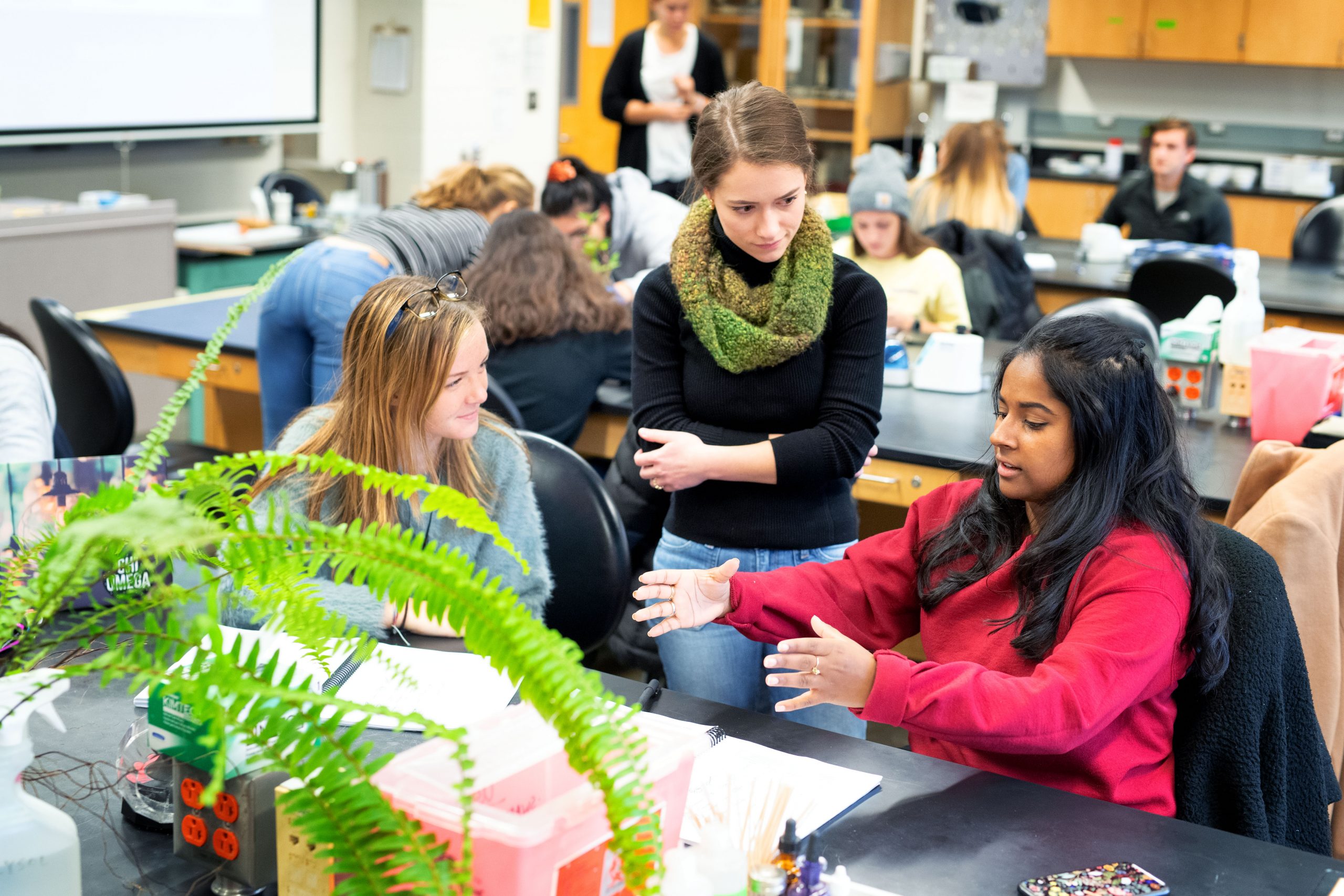 Students in a biology lab in Biology Building East.