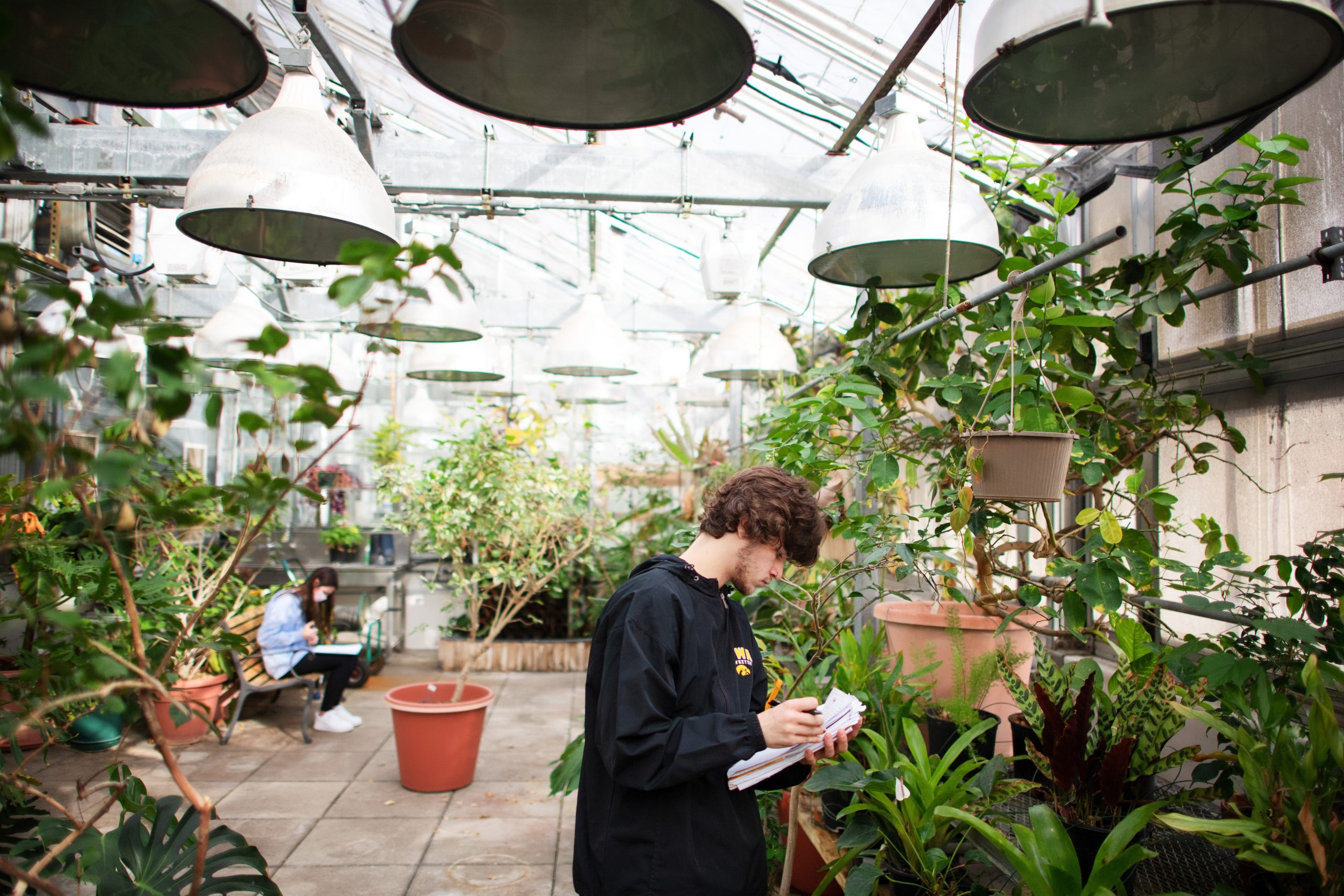 Students in a greenhouse in Biology Building East.