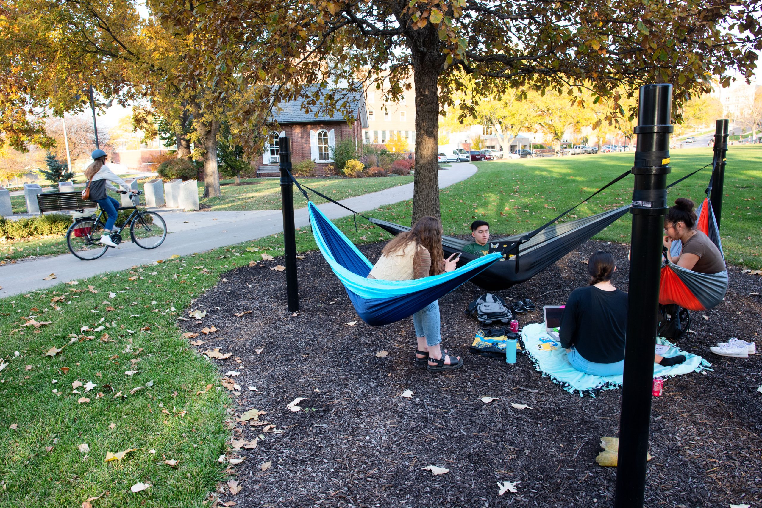 students in hammocks
