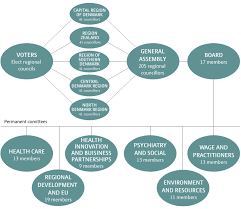 Organizational chart of Denmark’s regional governance structure, illustrating the roles of voters, regional councils, the General Assembly, and permanent committees including Environment and Resources, Health Care, and Regional Development