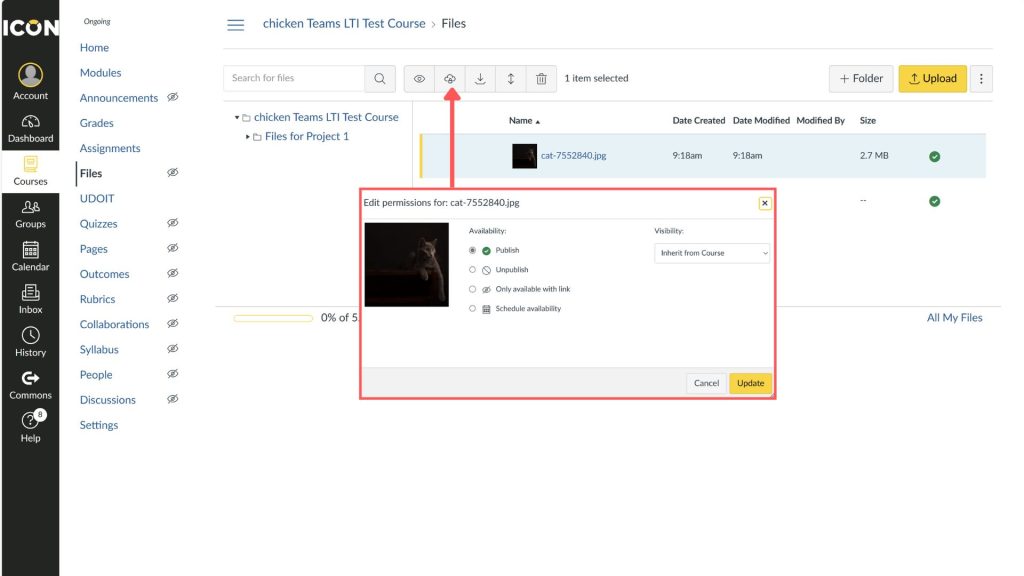 Screenshot of ICON educational software "Files" section showing a file named "cat-7552840.jpg" with an open permissions dialog. A red arrow points from the dialog to a cloud icon.