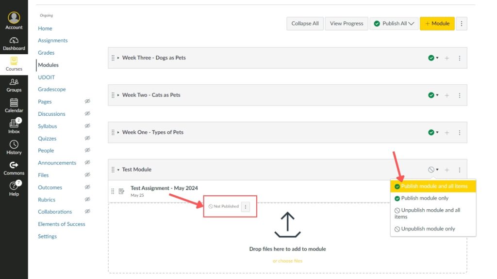 A "Test Module" is also visible, containing a “Test Assignment - May 2024” which is marked as "Not Published." A red arrow points to the "Publish module and all items" option in the dropdown menu.