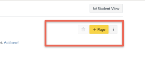 ICON interface with a "Student View" button and a square emphasizing the yellow "+ Page" button.