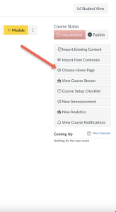 Screenshot of ICON software interface focusing on "Modules" section with options to create, import, and customize modules. A red arrow points to the "Choose Home Page" button in the right sidebar.