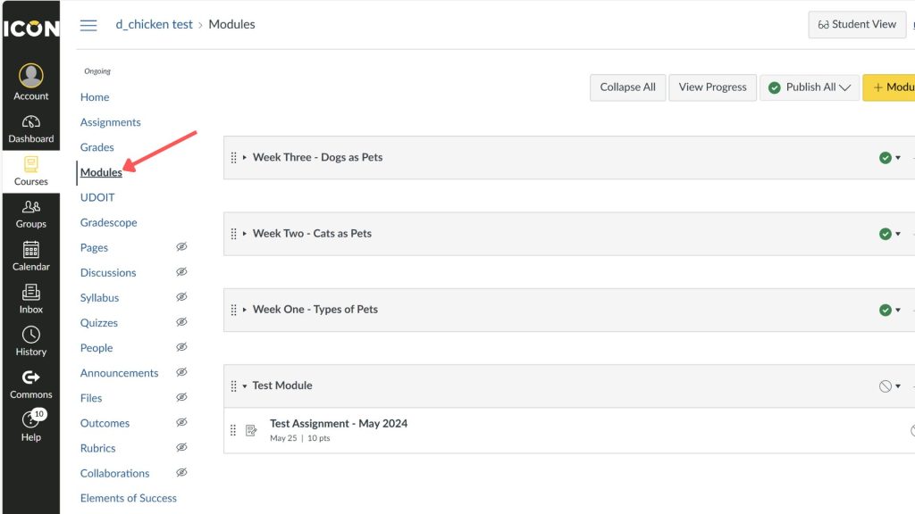ICON's 'Modules' section with a sidebar showing course-related options and several modules listed, including weeks on pets and a test module. An arrow points to "Modules" on the navigation bar indicating it had been clicked.