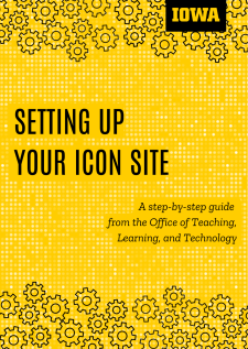 Setting up Your ICON Site book cover
