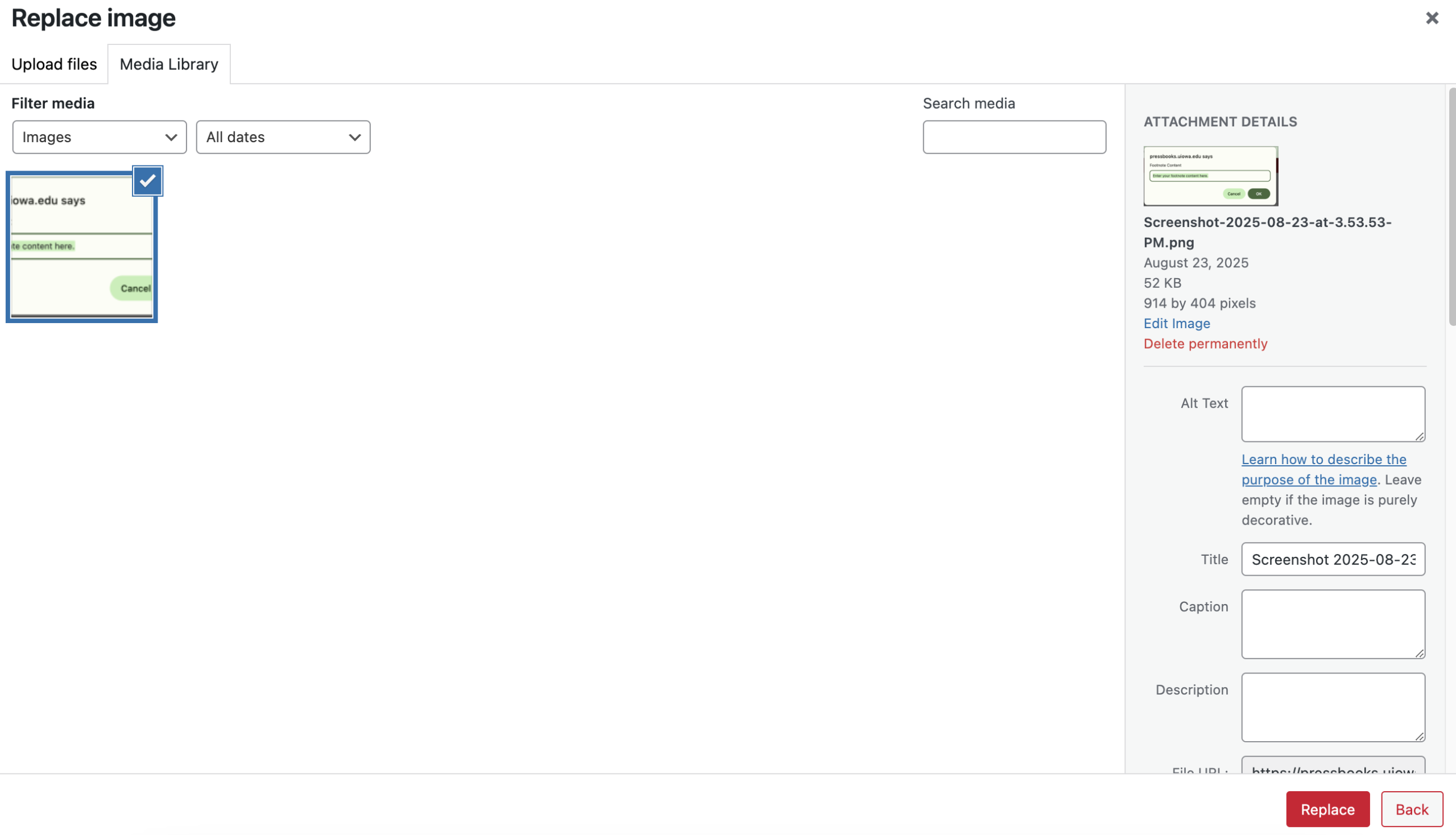 Image of the Replace image screen in Pressbooks.