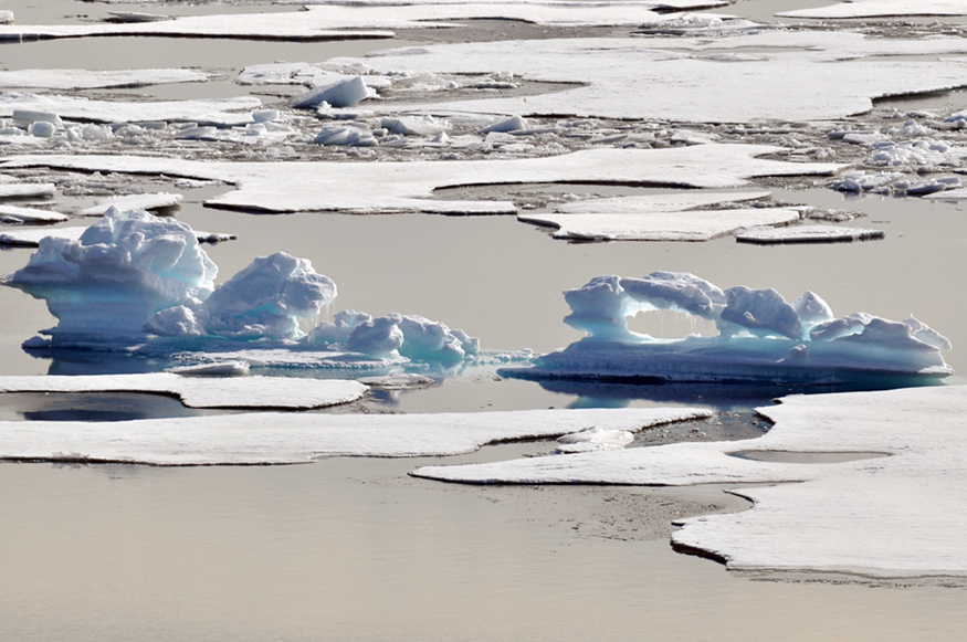Photograph of melting ice floes in the Arctic.