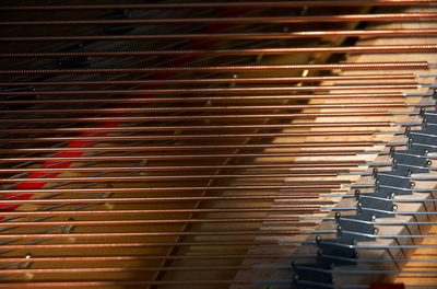 The figure shows the panel of the piano containing the strings, which are visibly in horizontal lines. Just below the strings is the wooden block of the piano containing the different type string handle bars and blocks.