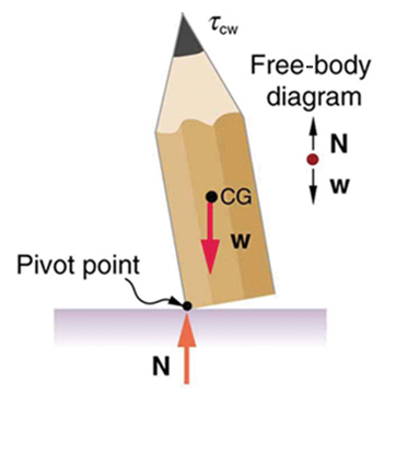 A pencil is tilted slightly toward left. The left end point of its flat surface is marked as the pivot point. The weight W of the pencil is acting at the center of gravity of the pencil. The normal reaction N of the pencil is acting upward at the pivot point. The line of action of the normal reaction is toward left of the line of action of the weight of the pencil.