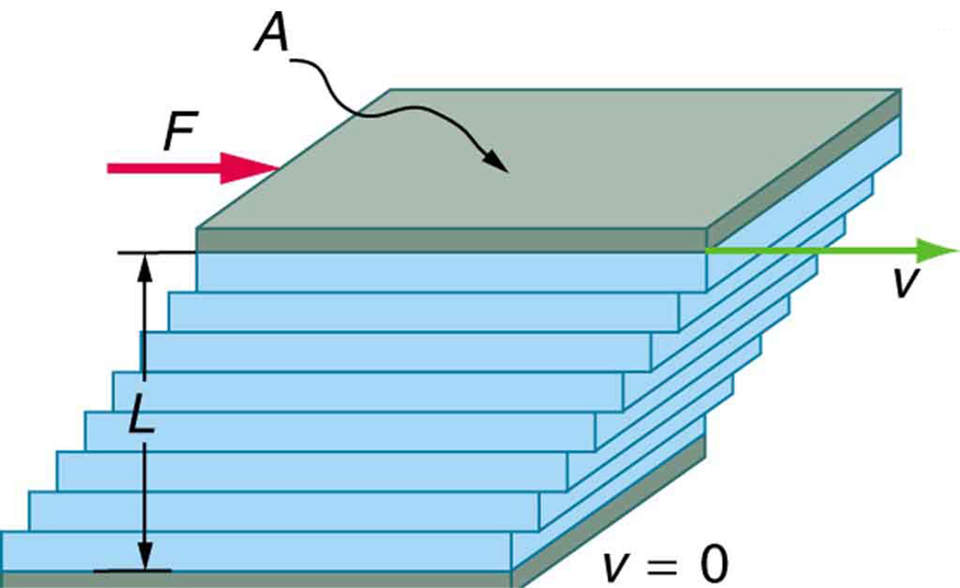 The figure shows the laminar flow of fluid between two rectangular plates each of area A. The bottom plate is shown as fixed. The distance between the plates is L. The top plate is shown to be pushed to right with a force F. The direction of movement of the layer of fluid in contact with the top plate is also toward right with velocity v. The fluid in contact with the plate in the bottom is shown to be in rest with v equals zero. As we see through the layers above the one on the bottom plate, each show a small displacement toward right in increasing order of value with the topmost layer showing the maximum.