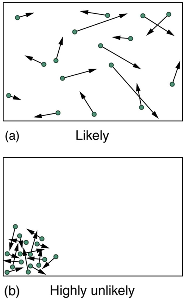 Two states of a container of gas are shown. In state a, the gas molecules, depicted as small green spheres, are randomly distributed in the container, with random velocities (an arrow is attached to each sphere, and the arrows vary in length and direction). This state is labeled likely. In state b, the molecules are clustered in the lower left-hand corner of the container and the arrows are much shorter. This state is labeled highly unlikely.