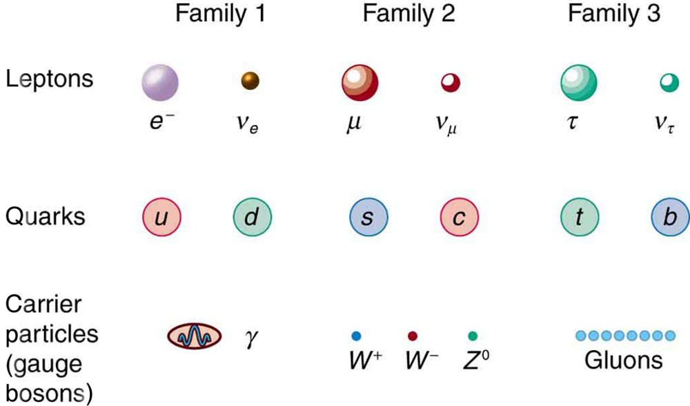 This figure shows three types of particles arranged in three rows. In the top row are leptons, in the middle row are quarks, and in the bottom row are carrier particles. The rows are divided into three columns, with the columns labeled family one, family two, and family three, from left to right. In family one are the electron and electron neutrino, the up and down quarks, and the photon and upsilon. In family two are the muon and muon neutrino, the strange and charmed quarks, and the W plus, W minus, and Z zero. In family three are the tau and tau neutrino, the top and bottom quarks, and gluons.