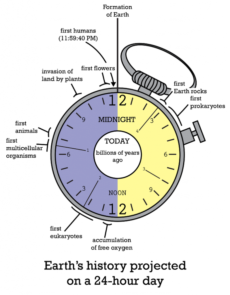 Formation Of The Earth Timeline