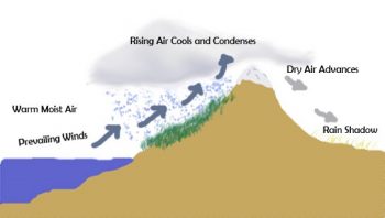 Climate vs. Weather – Science for Developing Scientifically Literate ...