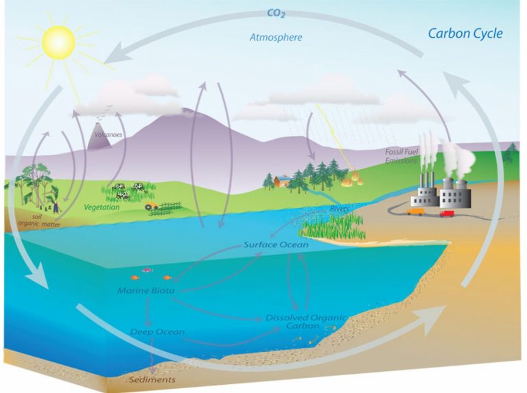 Climate: Background Information – Science for Developing Scientifically ...