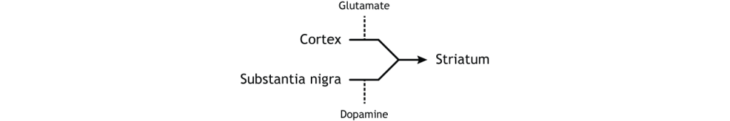 Illustration of input to the basal ganglia. Details in caption.