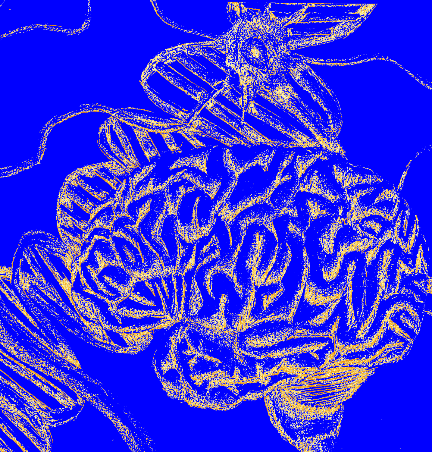 Cover image for Introduction to Neurobiology